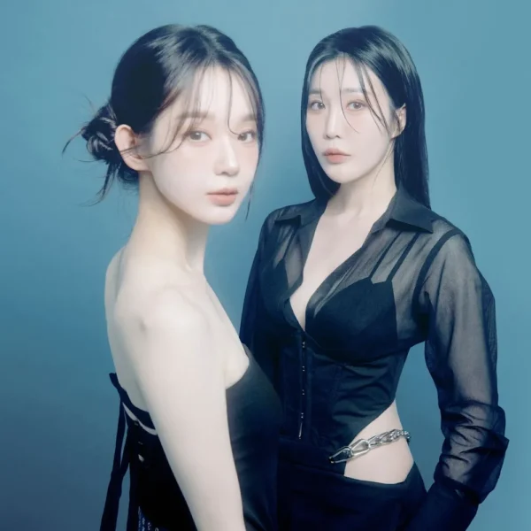 가수 : 다비치